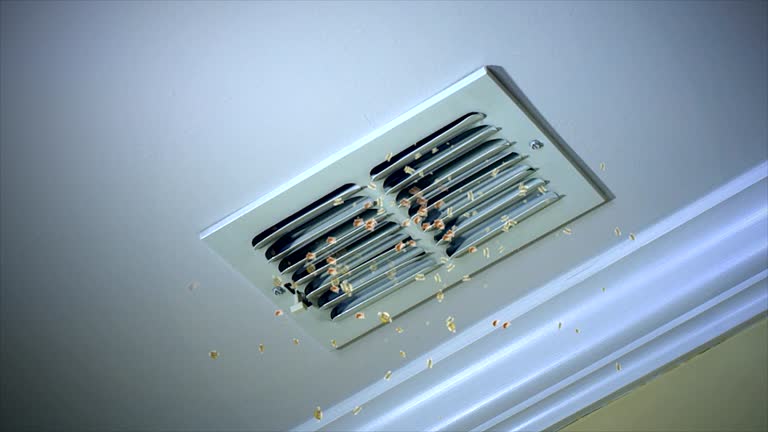 Best Air Duct Cleaning Near Me  in Coburg, OR